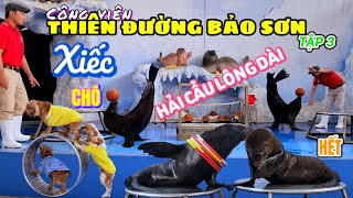 Công viên Thiên Đường Bảo Sơn (Hà Nội) - Tập 3: Đã mắt xem 2 bạn Hải Cẩu biểu diễn xiếc siêu đỉnh