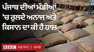 Punjab 'ਚ Wheat procurement 'ਚ ਕਿਹੜੀਆਂ ਮੁਸ਼ਕਲਾਂ ਆ ਰਹੀਆਂ | 𝐁𝐁𝐂 𝐍𝐄𝐖𝐒 𝐏𝐔𝐍𝐉𝐀𝐁𝐈