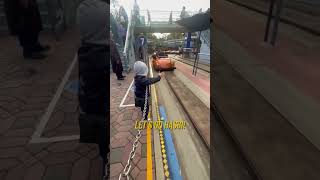 Hasbulla Disneyland traffic