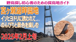 宮ヶ瀬湖畔園地(神奈川県)の探鳥地レポートです　イソヒヨドリに誘われて、のんびりと景色を楽しむ　2025年2月上旬