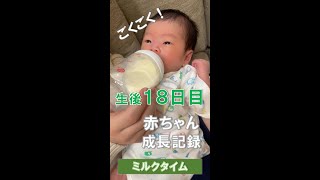 【新生児】生後１８日目の赤ちゃん / ミルク後のゲップする姿が可愛すぎる