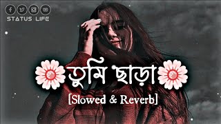 Tumi Chara - তুমি ছাড়া (Slowed🍃Reverb) Bangla Lofi Song 2023