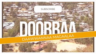 Doobbaa / Daawwannaa  Magaalaa Aanaa Doobbaa #visit