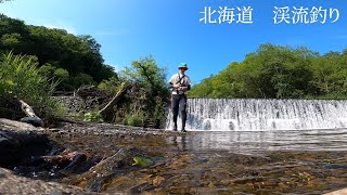 【釣れたぞおおお！】北海道道東にて渓流釣り