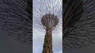 Beautiful Singapore Gardens by the Bay【美丽的新加坡滨海湾花园】