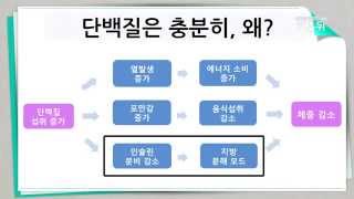 닥터스키니 최보윤의 요요없는 다이어트