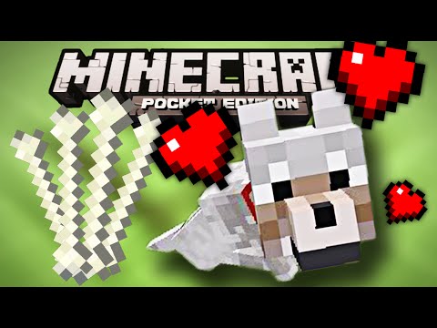 Minecraft Wolves in Pocket Edition Minecraft Wolves in Pocket Edition