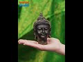 Gautam Buddha Song #shorts #buddha