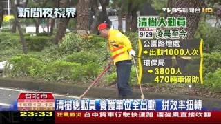 【TVBS】傾巢而出！北市公園處清路樹　拚一天完工