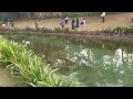 beautifull pond jayadev vatika khandagiri