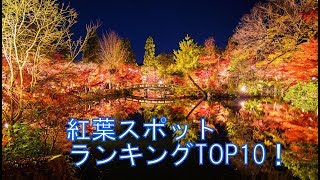 気になる１位はあの県！！紅葉ランキングTOP10