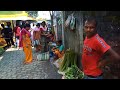 kokrajhar city vegetable market 😋 👌 exploring shortly