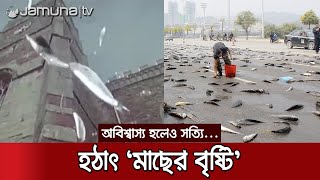 বৃষ্টির সাথে আকাশ থেকে পড়ছে জীবন্ত মাছ! | Fish Rain