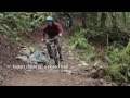 Silent Swamp - An Evergreen Trail Building Silent Swamp - An Evergreen Trail Building