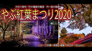 【紅葉と竹灯り】やぶ紅葉まつり2020　兵庫県養父市　養父神社