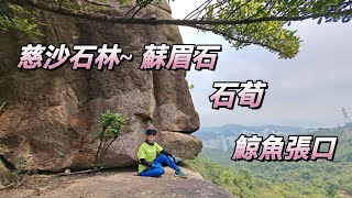 慈沙石林~鴨嘴獸~ 大簷篷 ~蘇眉石~鯨魚張口（24年5月7日）