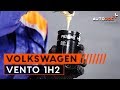 Como trocar óleo do motor e filtro de óleo VW VENTO 1H2 TUTORIAL | AUTODOC