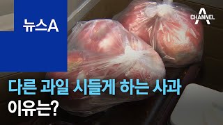 다른 과일 빨리 시들게 하는 사과…이유는? | 뉴스A