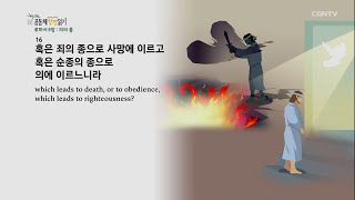 [하루 20분 공동체성경읽기] 11/24 로마서 6-7장