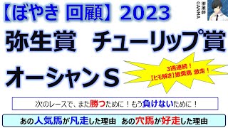 【ぼやき回顧】弥生賞＆チューリップ賞＆オーシャンステークス＜2023＞