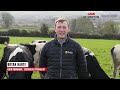 Why you should feed your dairy cows GAIN Spring Starter 16