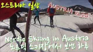 [오스트리아일상][Austria vlog] Nordic Skiing in Austria  노르딕 스키타며 보낸 하루/오스트리아 겨울스포츠