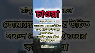 দৈনন্দিন জীবনের জন্য ইসলাম নিয়ে চর্চা #backgroundmusic #no_copyright #ইসলামিক_ভিডিও #motivation