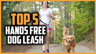 ✅Top 5 Best Hands Free Dog Leash of 2024