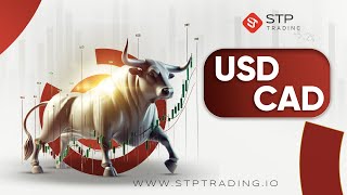 STPTRADING |تحليل الدولار مقابل الدولار الكندي في الإطار الزمني 4 ساعات (2 يناير)