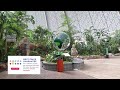 tropical island berlin tents world s largest indoor water park in germany indoor camping