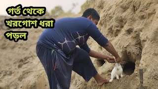 গর্ত থেকে খরগোশ ধরা পড়ল। কিভাবে গর্ত থেকে খরগোশ ধরতে হয়। BD Animal TV new video.2023