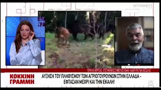 Ο υπερπληθυσμός του αγριόχοιρου στο ACTION 24