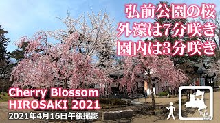 2021.04.16午後 弘前公園の桜 開花状況 外濠は7分咲、園内は3分咲きくらいでした Hirosaki Cherry Blossoms (sakura) 2021