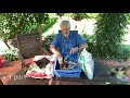 easter cactus how to propagate