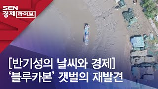 [반기성의 날씨와 경제] ‘블루카본’ 갯벌의 재발견