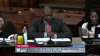 Small Business 2019-... Committee on Small B... NYCC PV CH CHA 190315 130829