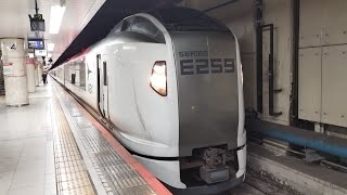 [新塗装！しかもトプナン！]E259系 Ne001編成(新塗装) Ne004編成 成田エクスプレス35号成田空港行が総武快速線ホーム東京駅4番線を発車するシーン