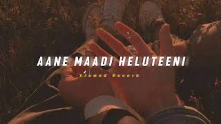 Aane maadi heluteeni ( Slowed + Reverb ) | Soul Vibez