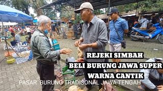 REJEKI SIMBAH BELI BURUNG JAWA MURAH DI PASAR BURUNG TRADISONAL JAWA