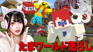 たまちゃんのワールドまで荒らしてしまうドッキリ😨【まいくら・マインクラフト】