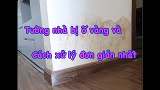 Cách xử lý tường nhà bị ố vàng dễ như ăn cháo ai cũng làm được