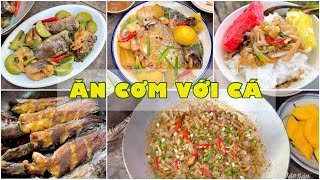 Không gì ngon bằng cơm với cá - một số món cá ngon miền Tây - CLIP TỔNG HỢP | Đặc sản miền sông nước