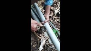 sprinkler wrk in cardamom plantation