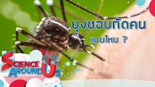 Science Around Us EP. 19 ยุงชอบกัดคนแบบไหน ? (2/2)