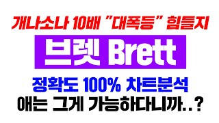 브렛 Brett [긴급] 개나소나 10배 폭등하면 다 부자되지... 이건 \