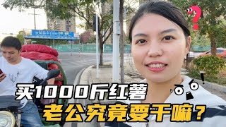 买1000斤红薯终于到了！打开一看大不一样，老公到底作何打算？