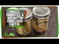 Pickles, Probiotics, and Why Rotten Food Is Good For You