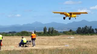 Bearhawk 4-Place wins the 2019 New Zealand STOL Championship