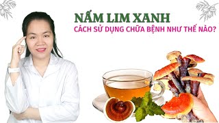 Nấm lim xanh có công dung chữa bệnh gì? Cách sử dụng nấm lim xanh tốt nhất