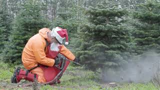 How to cut down a Christmas Tree with 3000 bar UHP